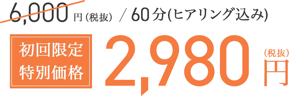 初回限定特別価格2,980円(税抜)